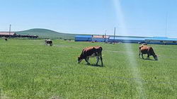 կնֽ