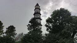 pprˮĸӺ