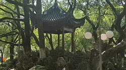 ˮô